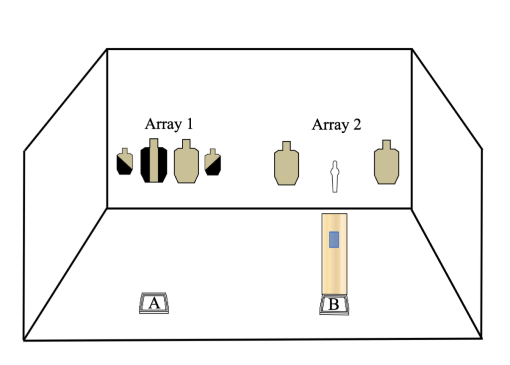 Saturday, 6/29/24 – Competitor&nbsp;Session