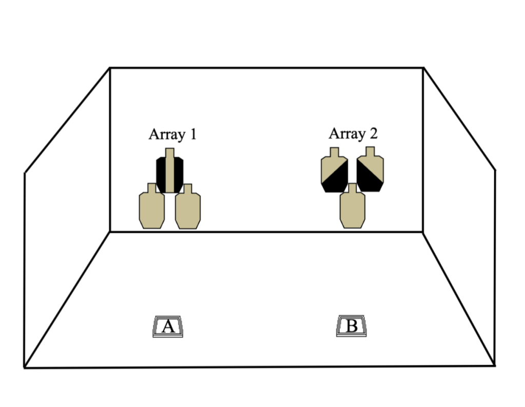 Tuesday, 6/4/24 – Defender&nbsp;Session