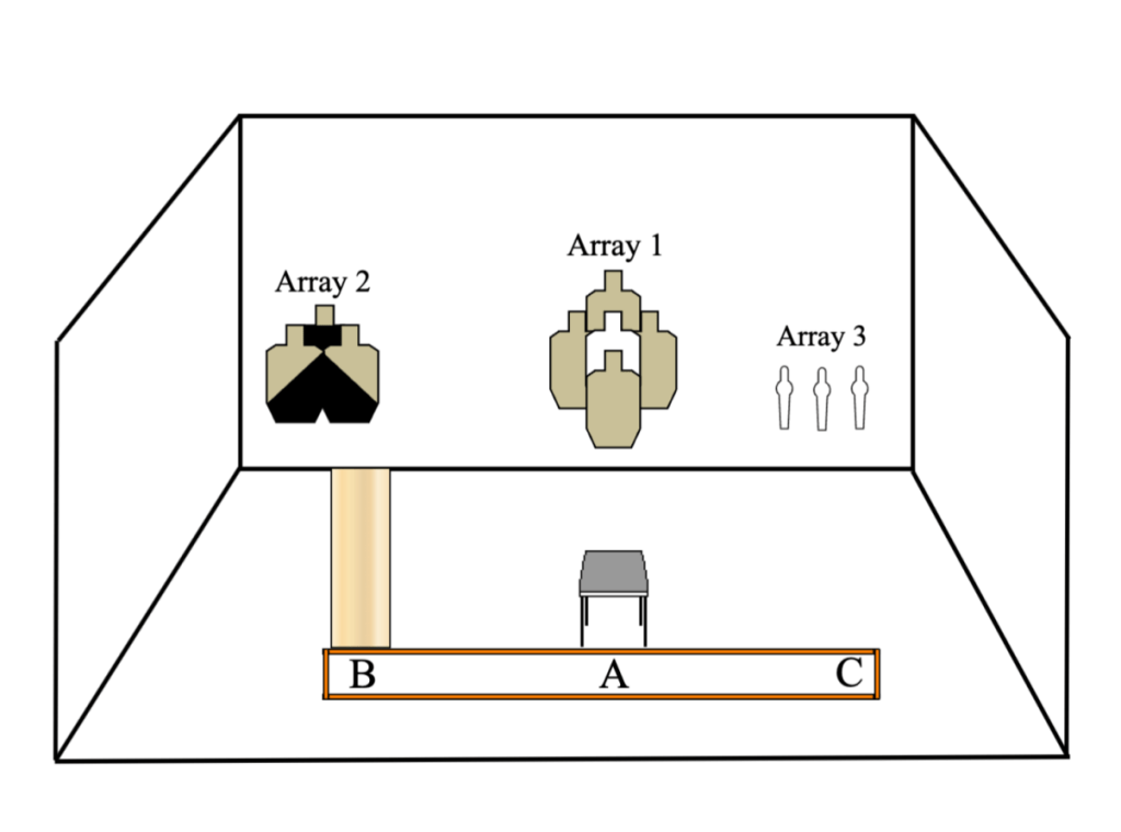 Thursday, 6/6/24 – Competition&nbsp;Session